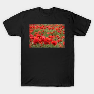 Poppies. SINGLE yet never ALONE T-Shirt